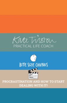 Bite sized chunks workbook - Procrastination